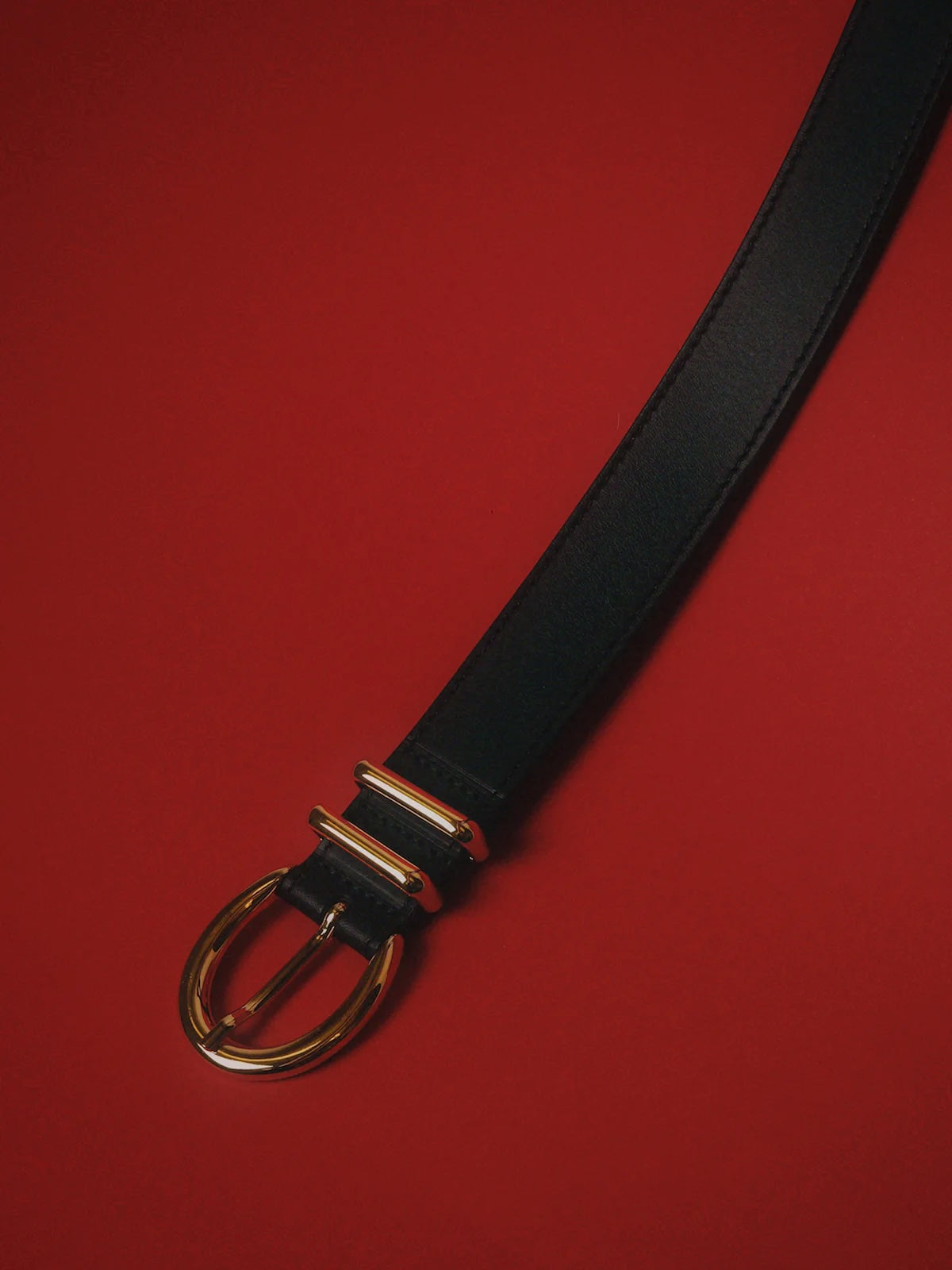 Carynia Leather Belt - Black & Gold
