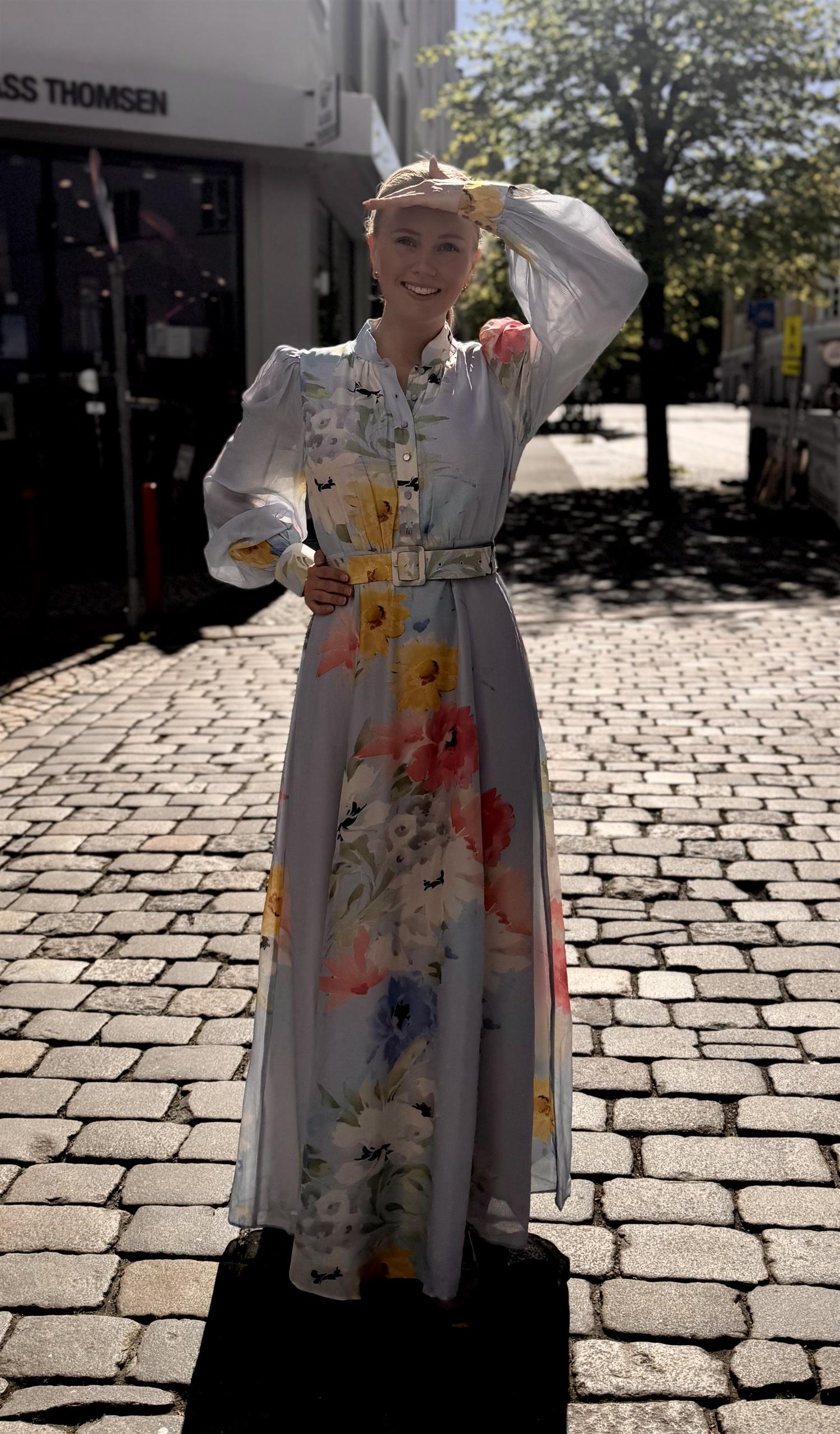 Organza Belt Dress - Blue Meadow