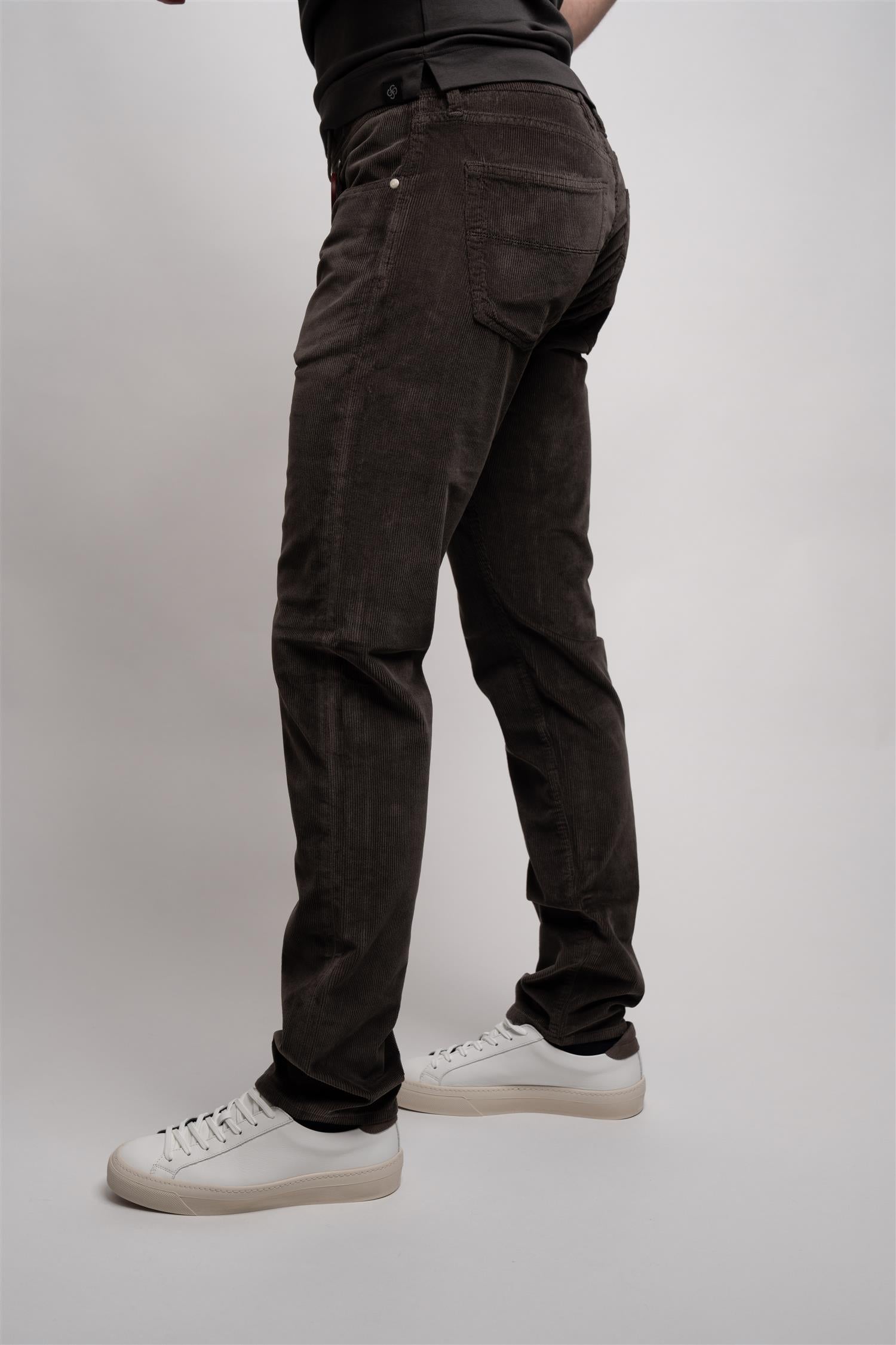 Michelangelo Cord - Coffee