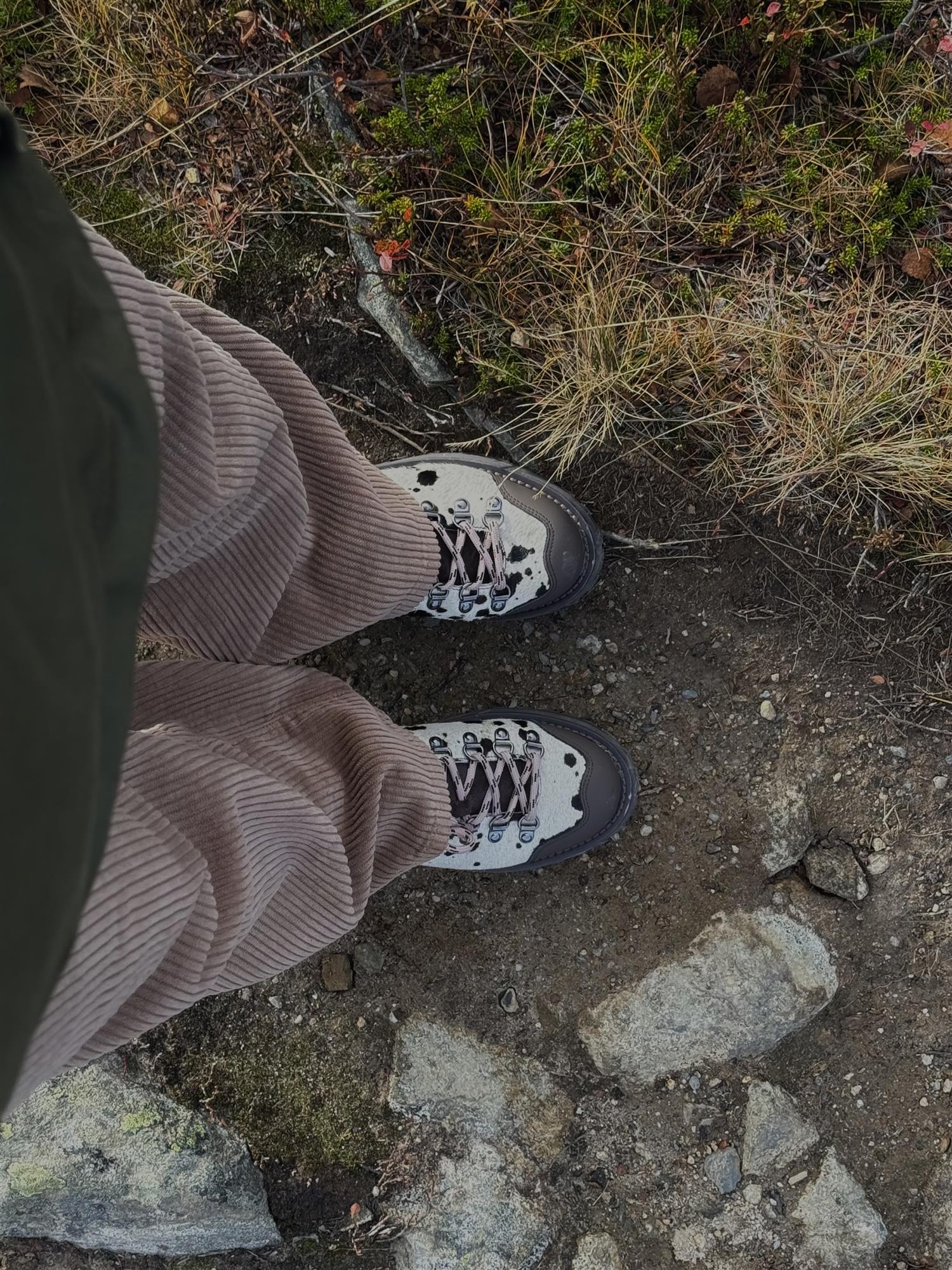 Dune Low - Hairy Cow Leather