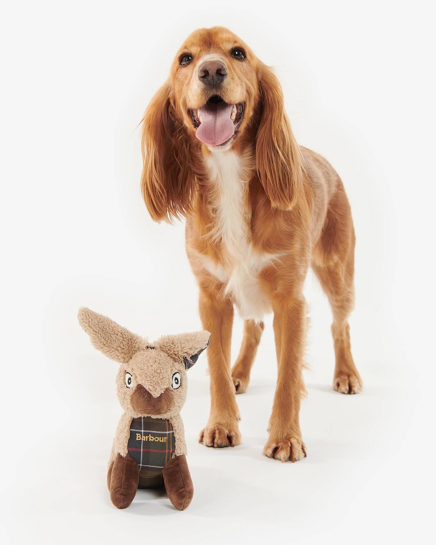 Dog Rabbit Toy