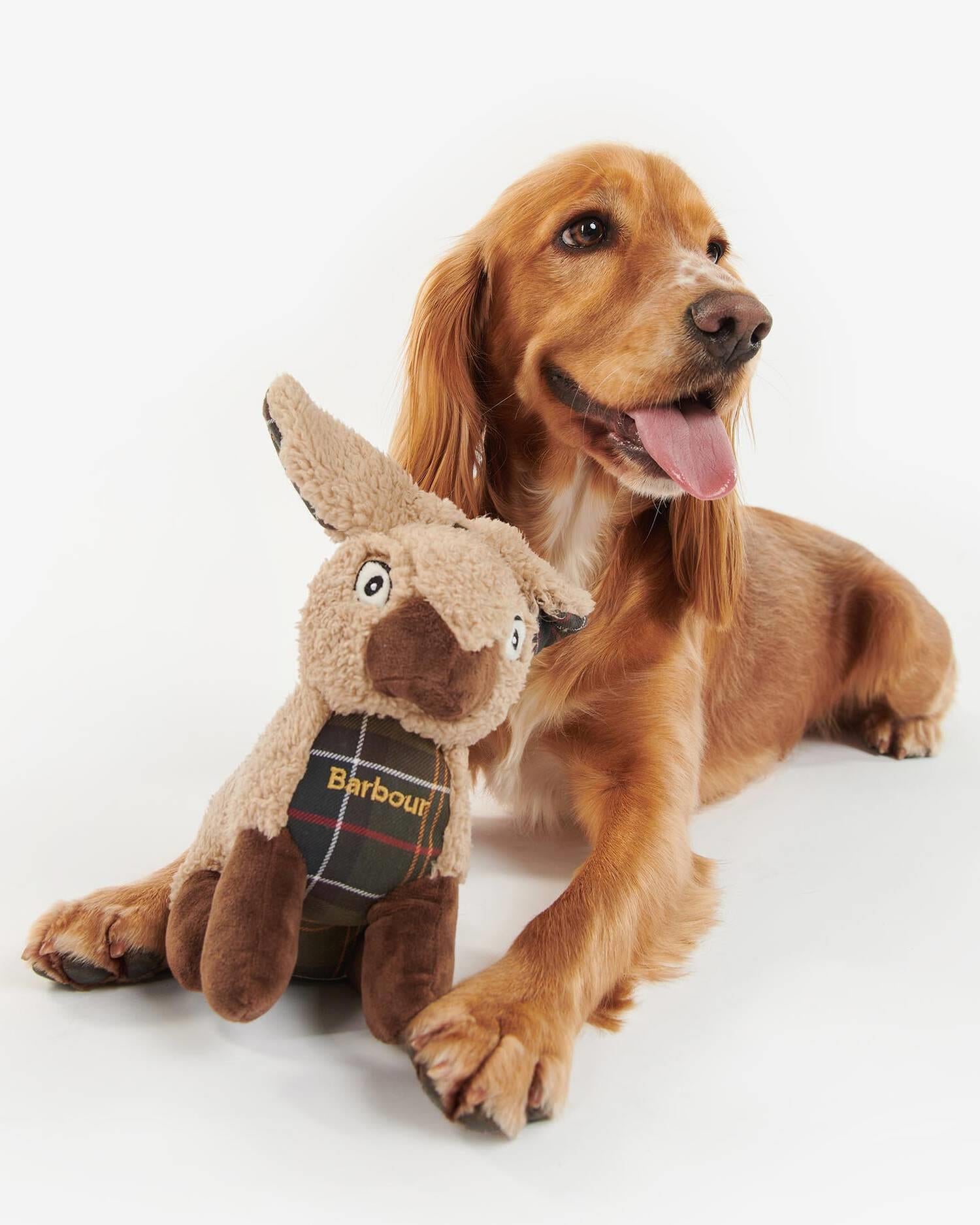Dog Rabbit Toy