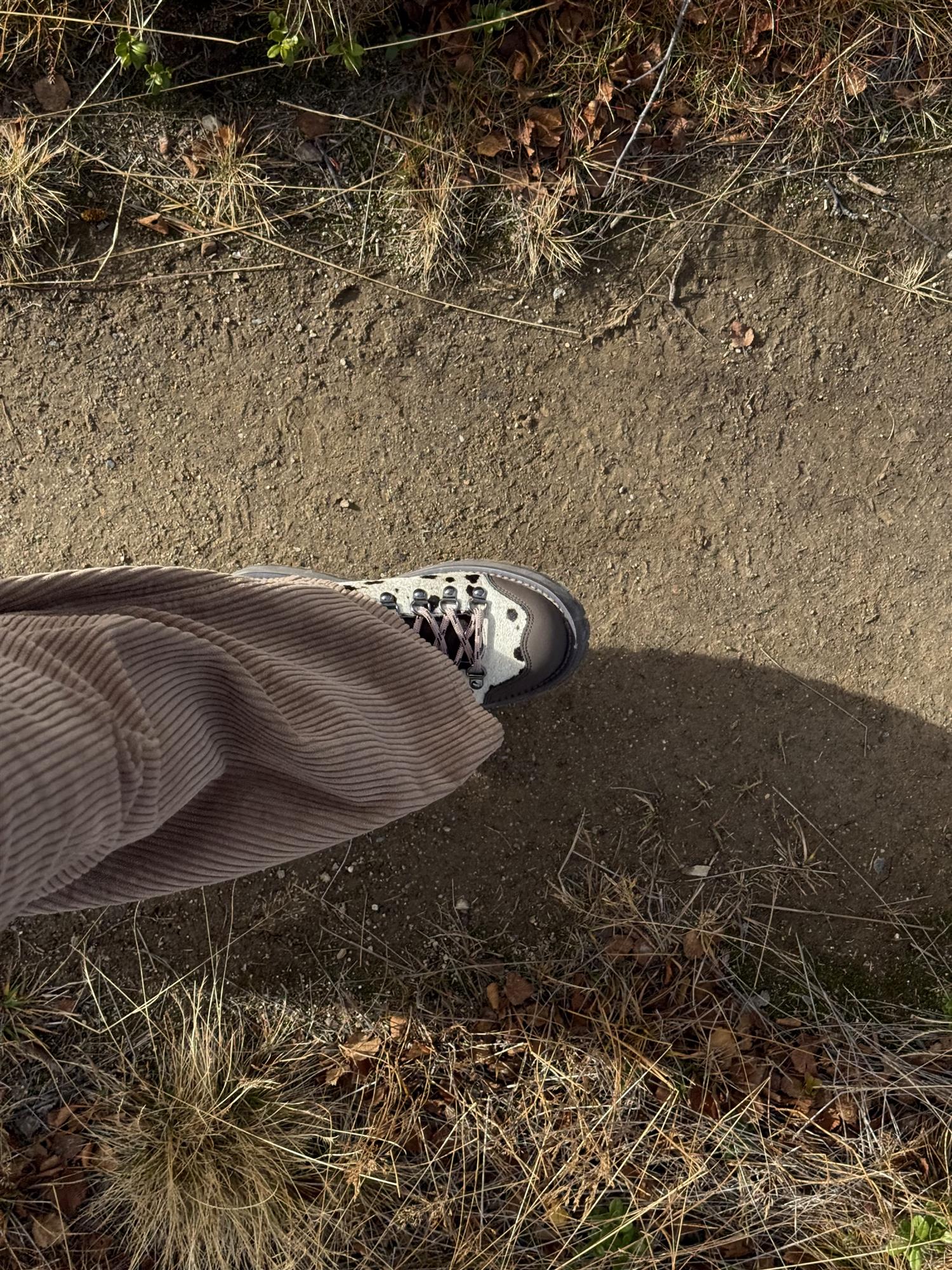 Dune Low - Hairy Cow Leather