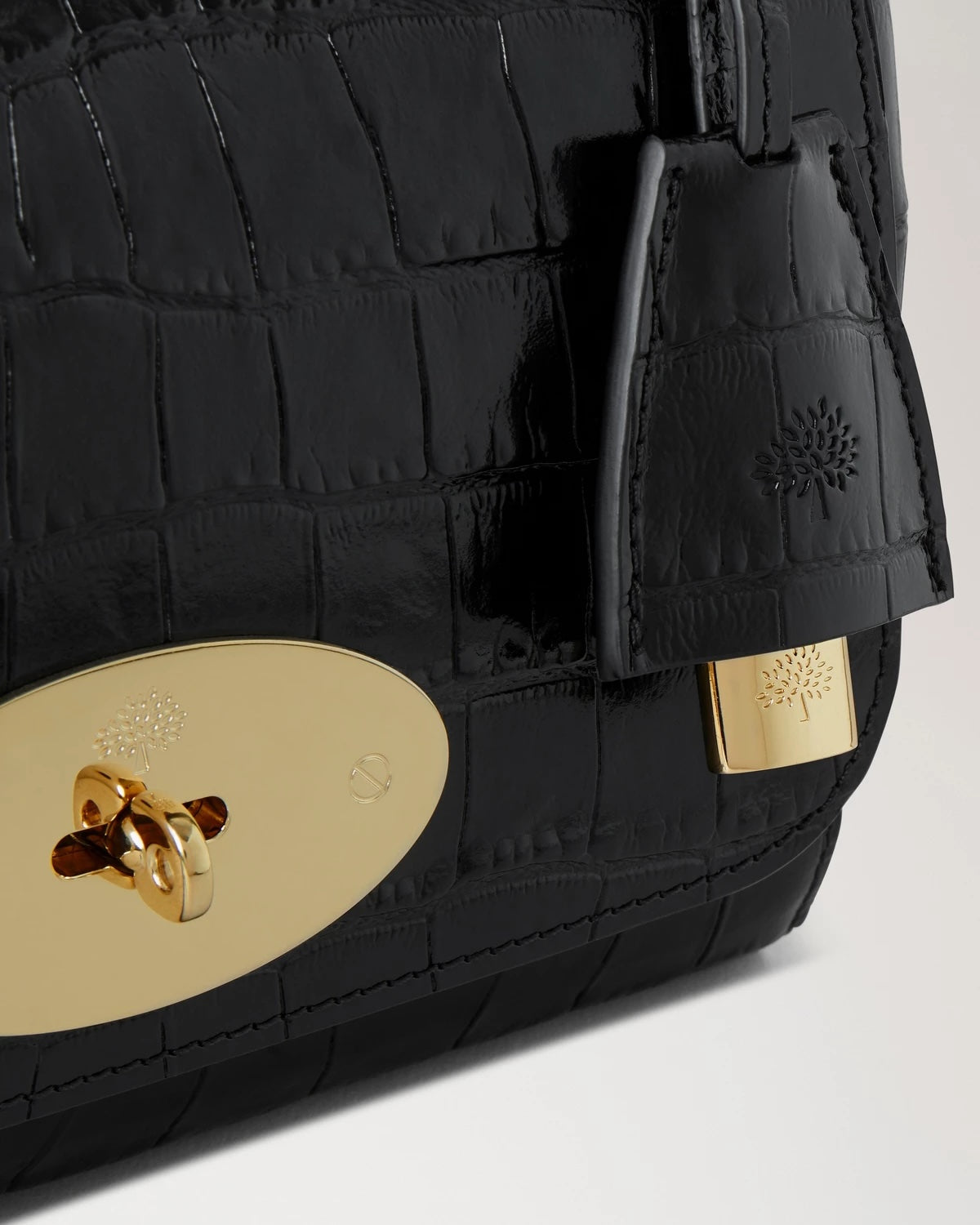 Lily Black Shiny Small Croc