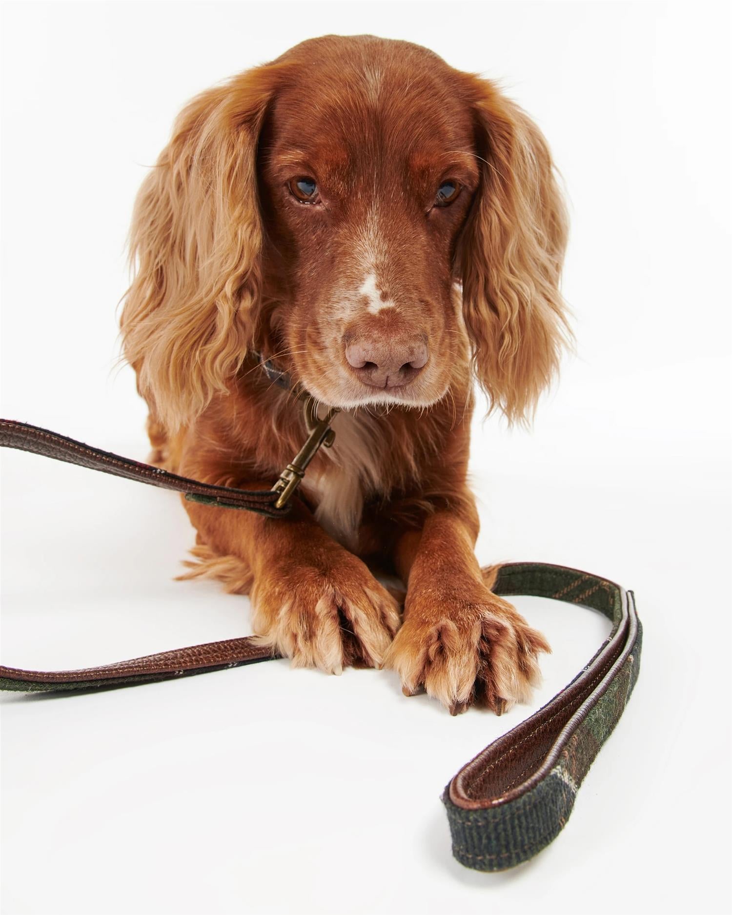 Barbour Tartan Dog Lead