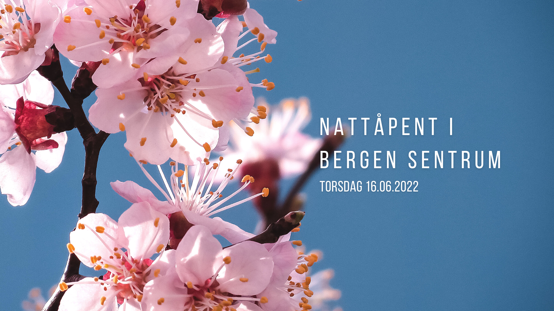 NATTÅPENT BERGEN SENTRUM 16/06-22