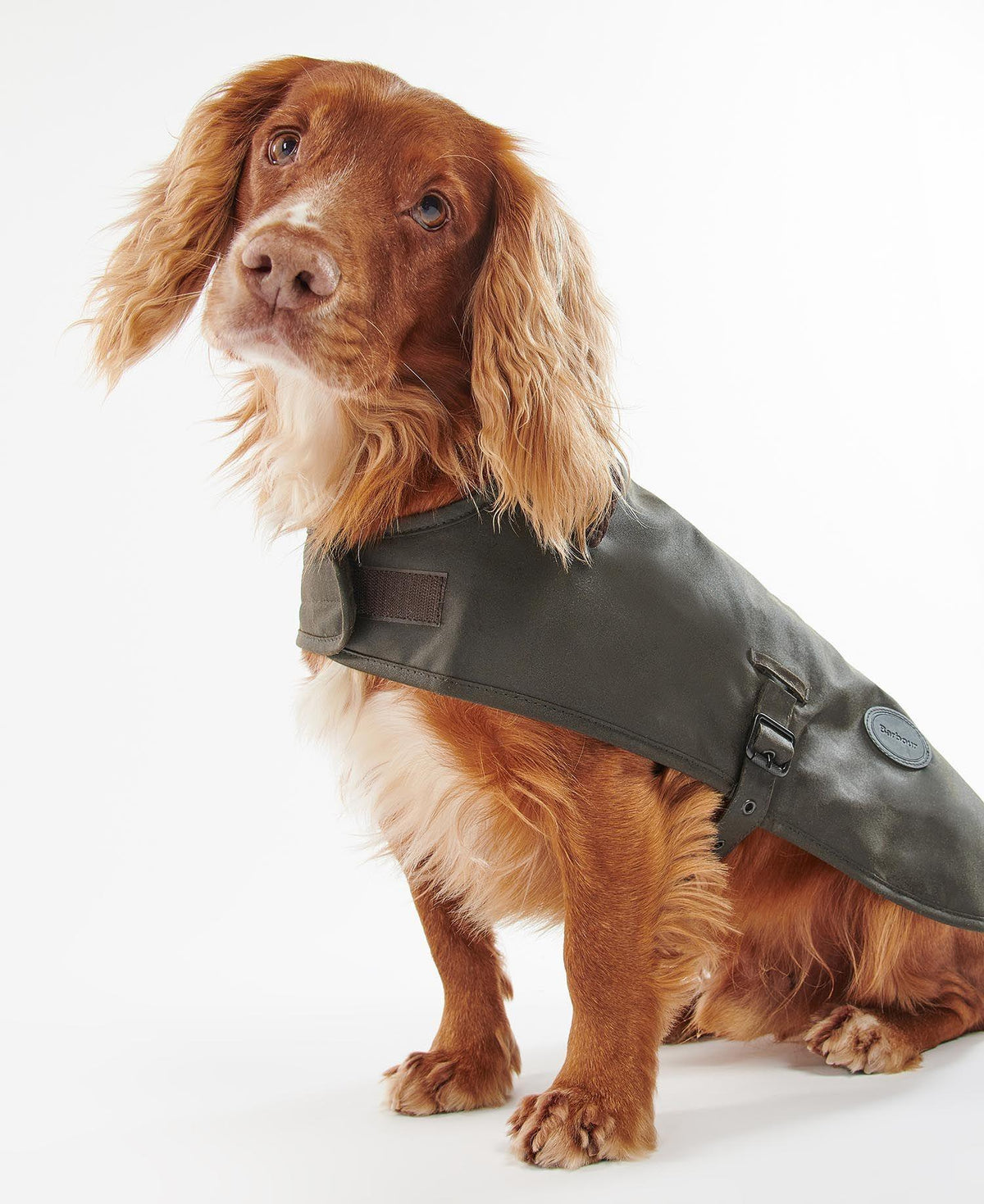 Waxed Dog Coat Olive