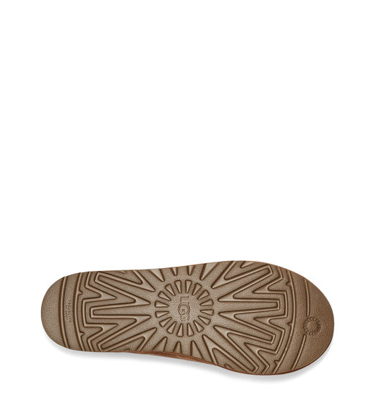 Tasman - Chestnut