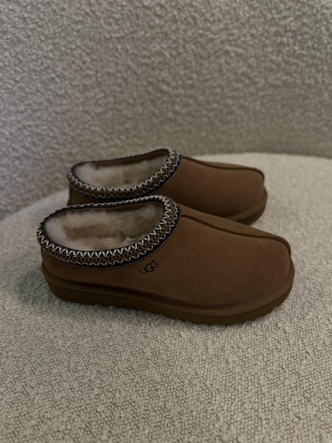 W Tasman Chestnut