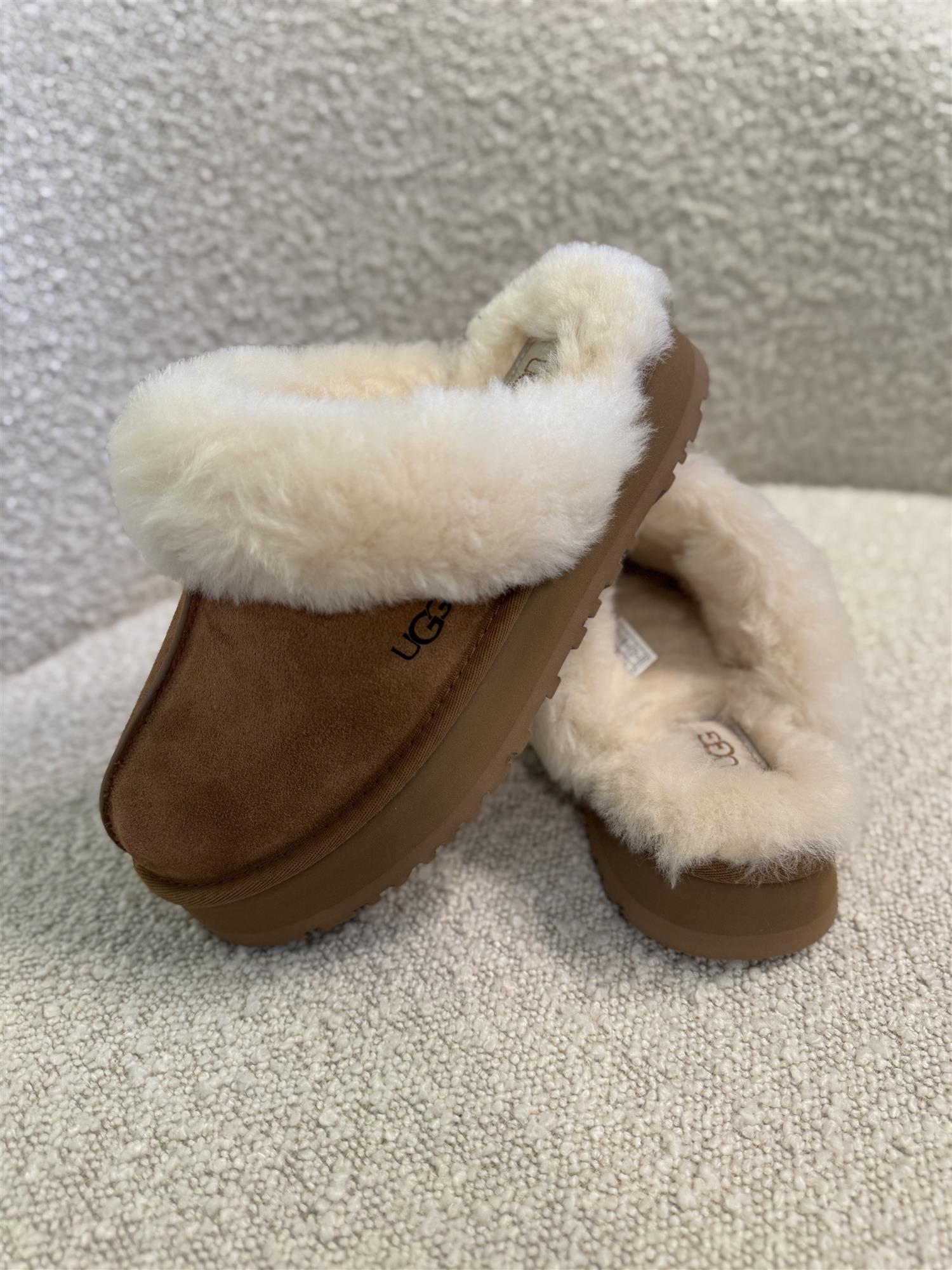 W Disquette Chestnut