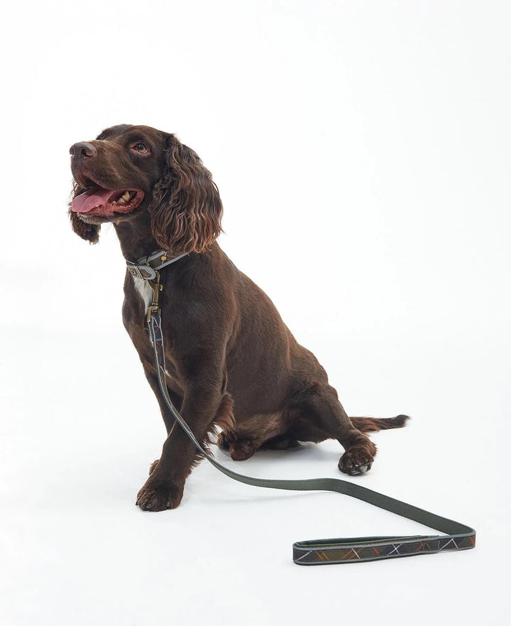 Barbour Reflective Tartan Comfort Dog Lead