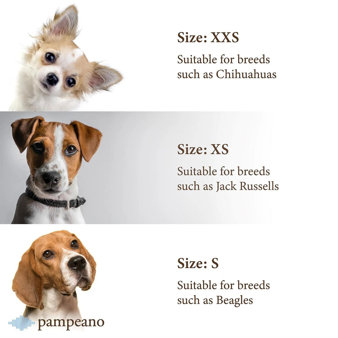 Dog Collar Piedra