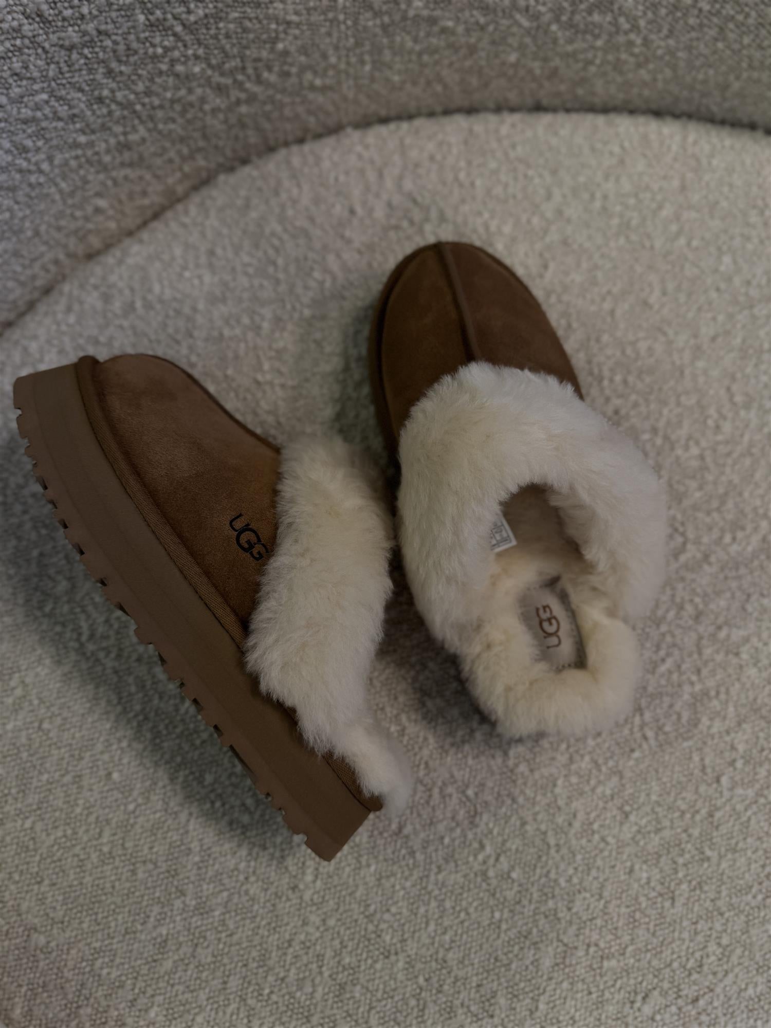 W Disquette Chestnut