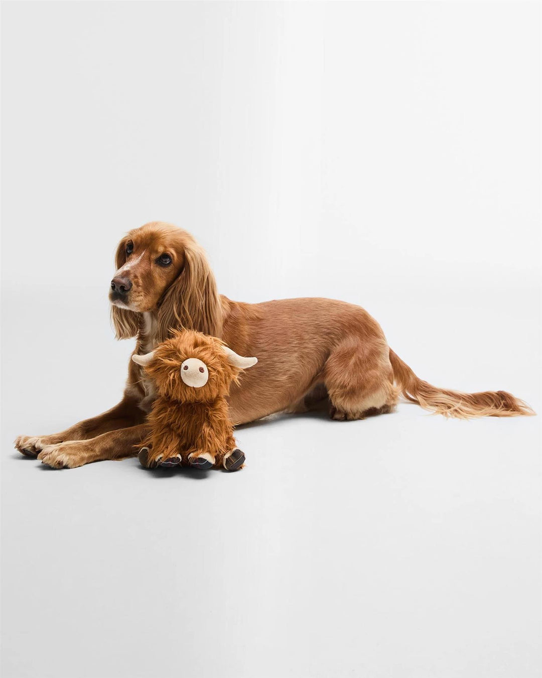Barbour Dog Highland Cow Toy
