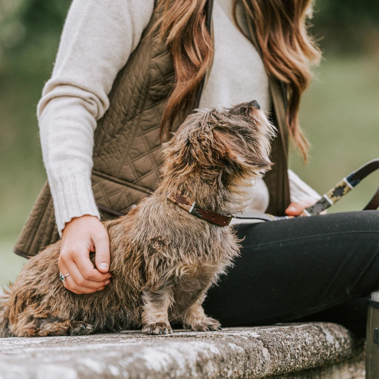 Dog Collar Caza