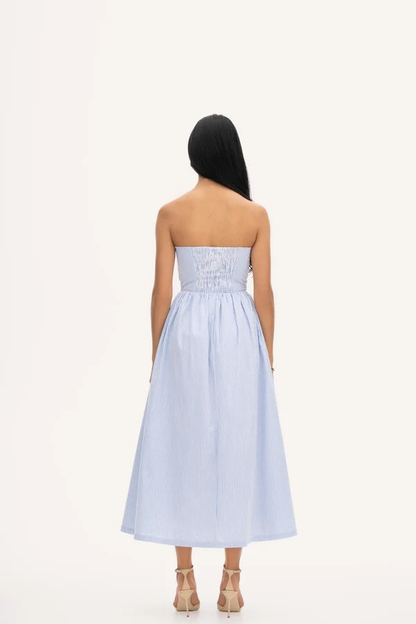 Rose Dress Stripe