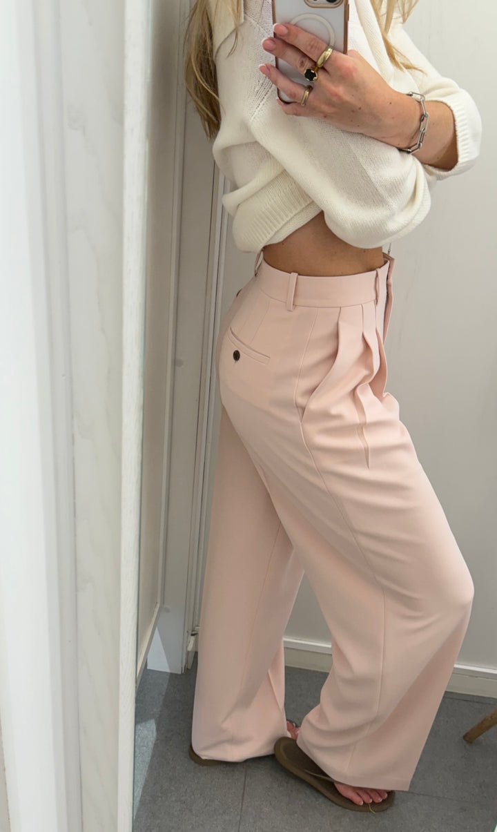 Double Pleated Pant Admiral