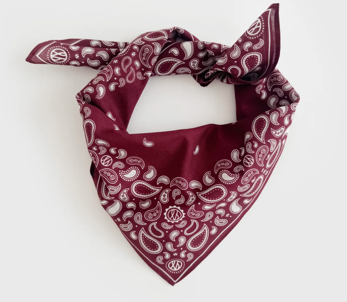 Paisley Scarf / Wine Red (50cm)