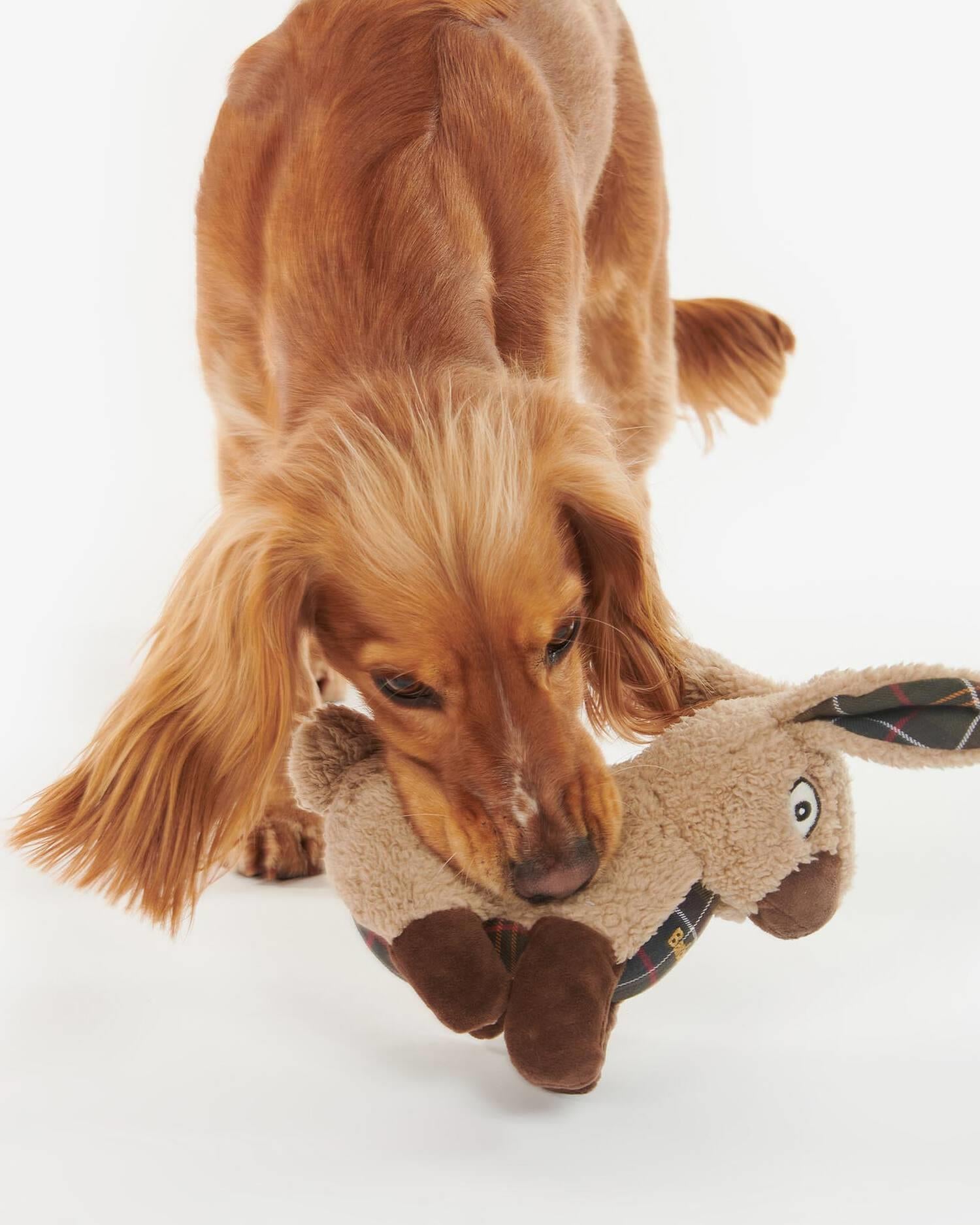 Dog Rabbit Toy