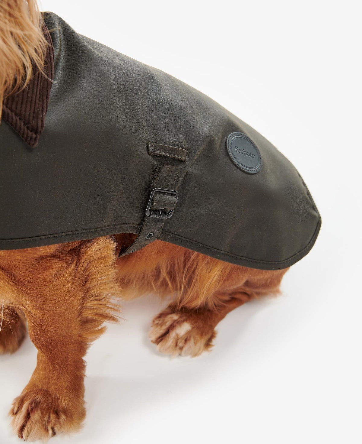 Waxed Dog Coat Olive