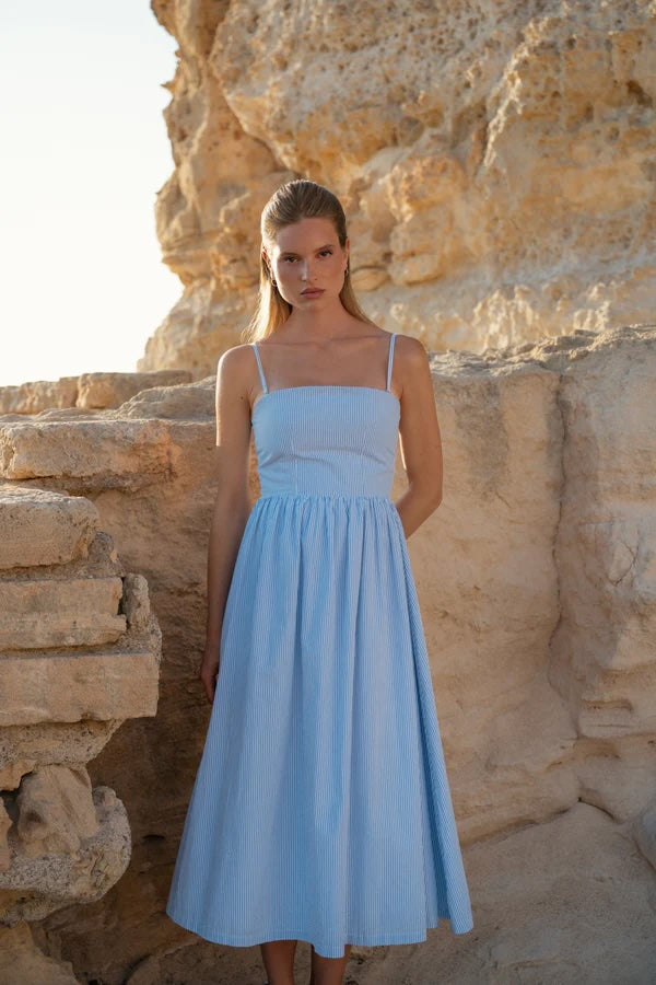 Rose Dress Stripe
