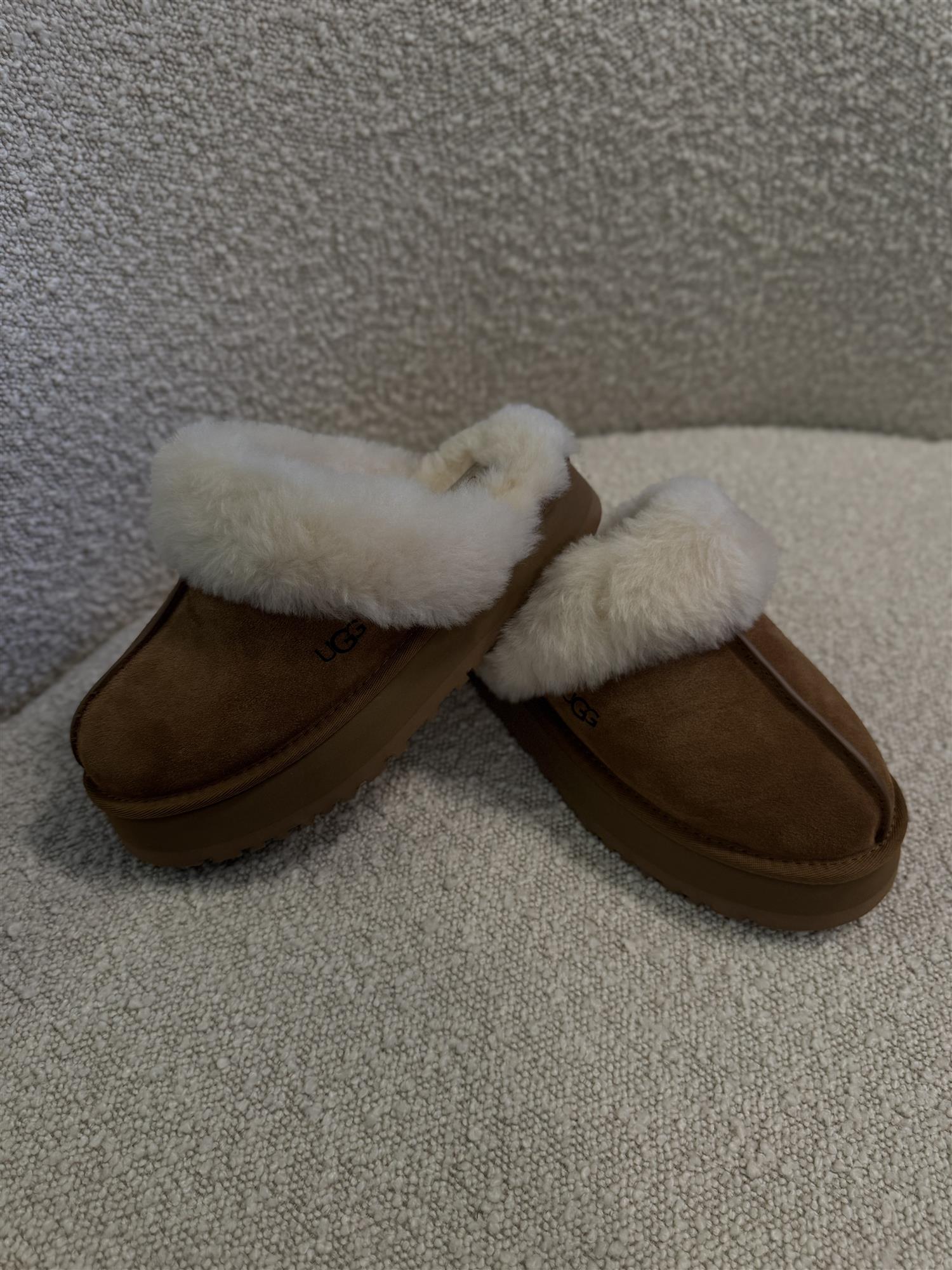 W Disquette Chestnut