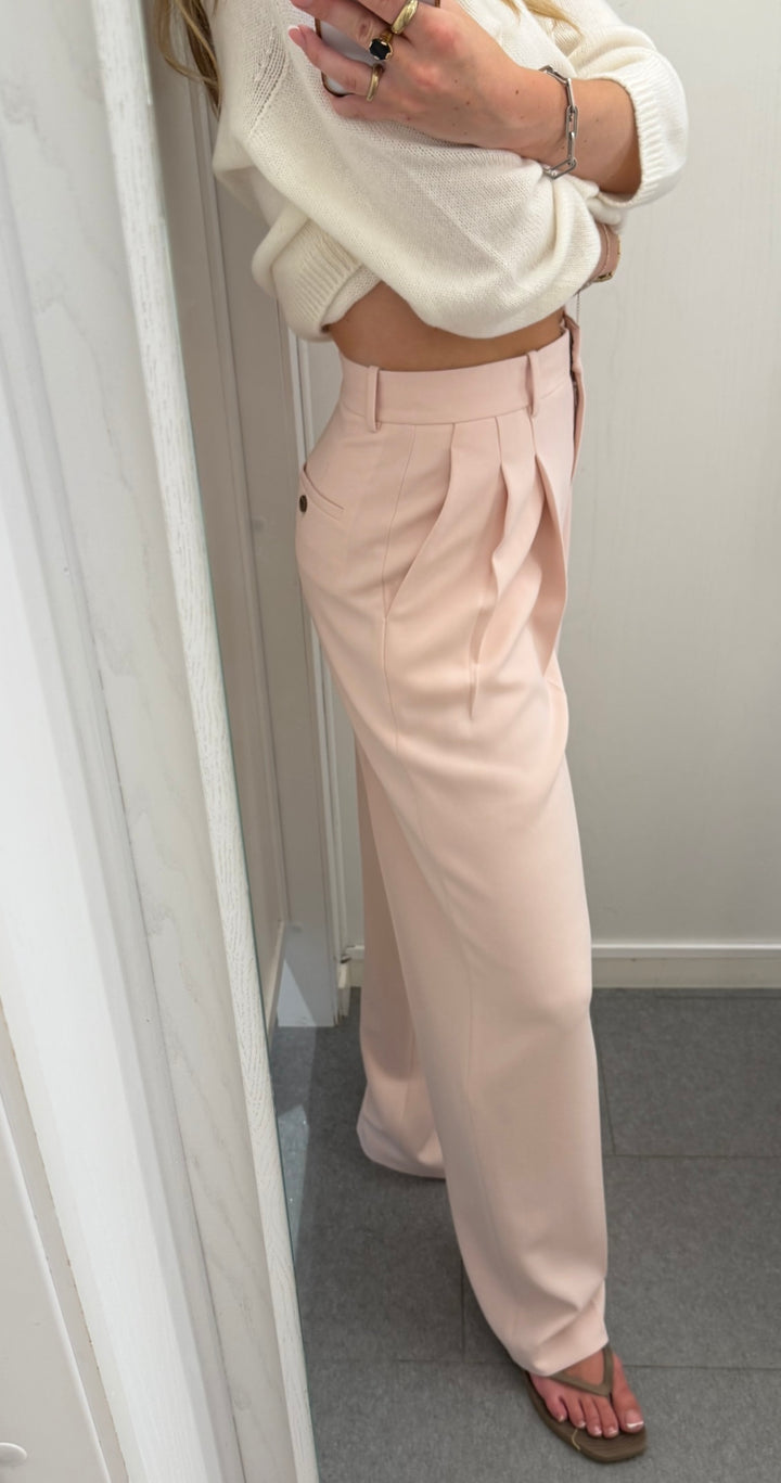 Double Pleated Pant Admiral