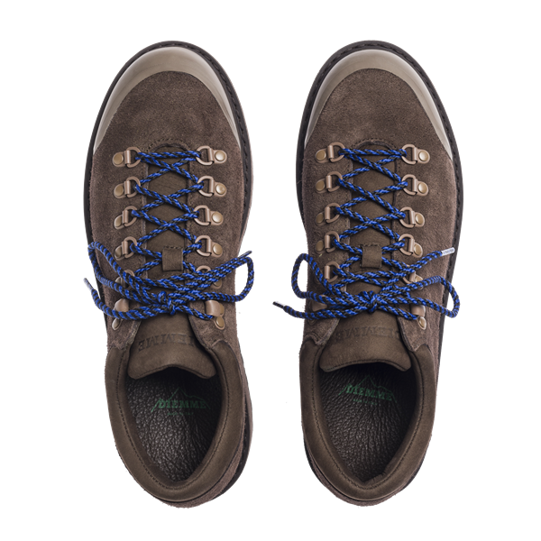 Cornaro - Bison Suede