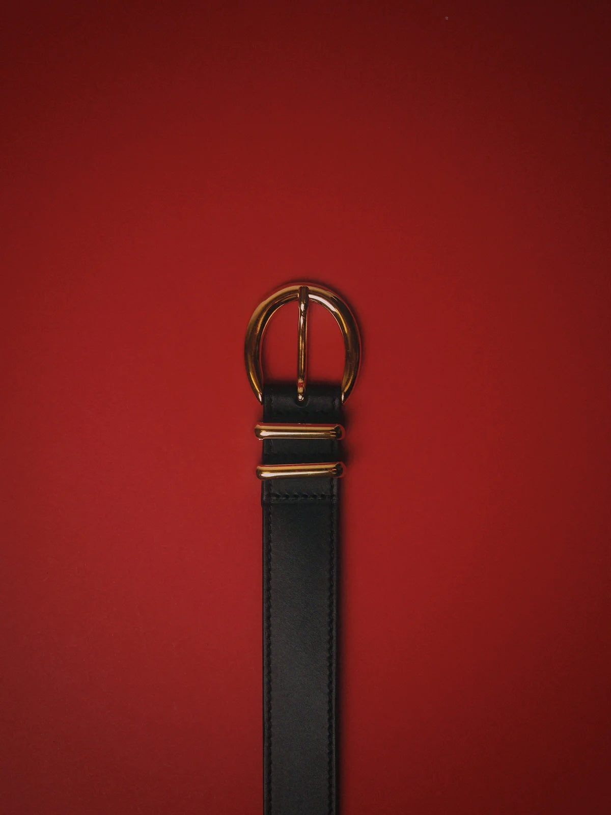 Carynia Leather Belt  - Black & Gold