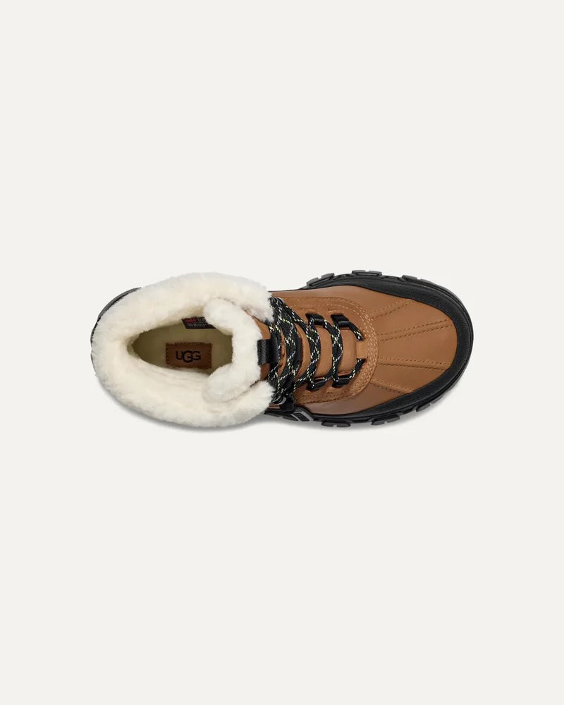 Adirondack Meridian Hiker