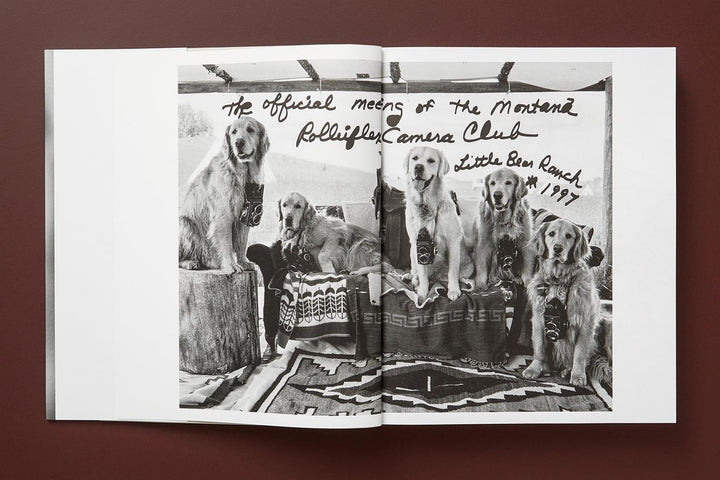 The Golden Retriever Photographic Society