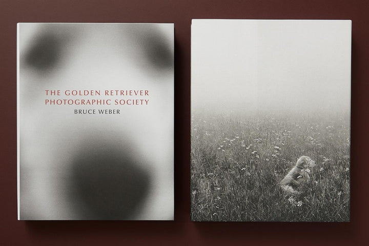 The Golden Retriever Photographic Society