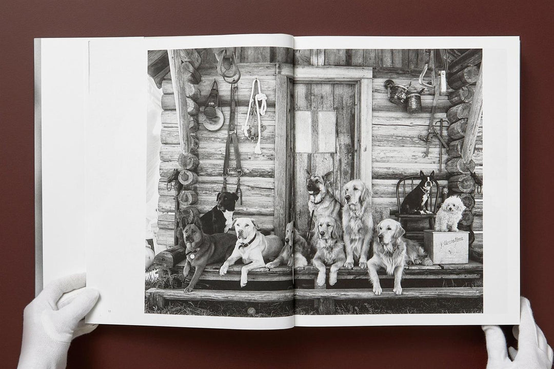 The Golden Retriever Photographic Society